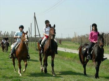 Agriturismo La Riccardina บูดริโอ ภายนอก รูปภาพ